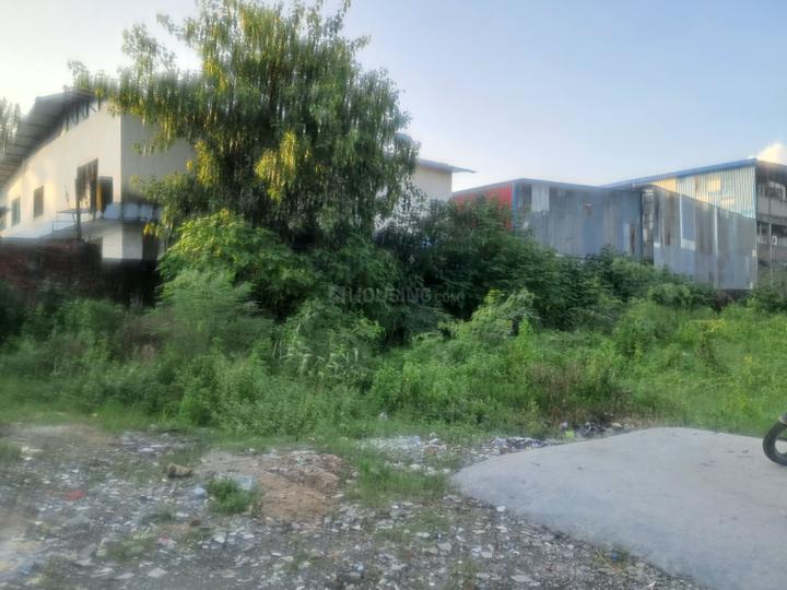 Selakui Main Image 1