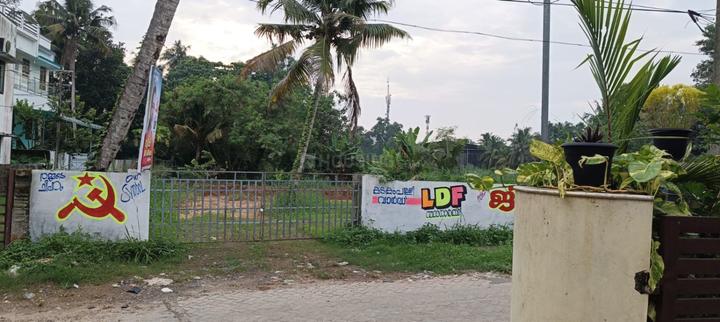 Anayara Main Image 1