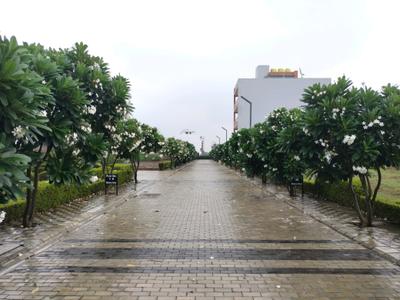 Image of 150 Sq.ft Residential Plot / Land for sale in Mansha Oaks, Sector 98, Faridabad for Rs. 19500000