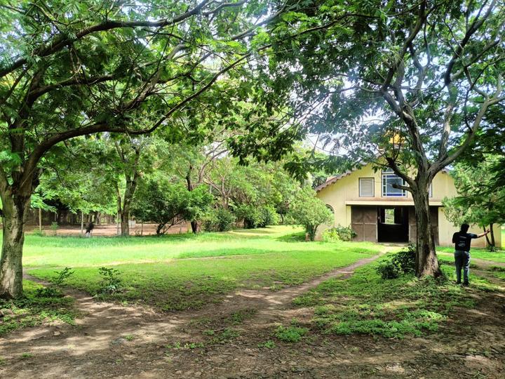 Shapoori pallonji Treetopia Main Image 1