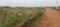 Patrapada Main Image 1