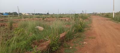 Residential Plot