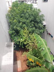 Balcony Image of 2600 Sq.ft 3 BHK Villa for sale in Rampally Secunderabad for Rs. 15500000