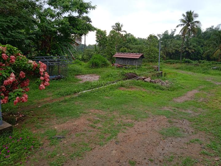 Vandithavalam Main Image 1