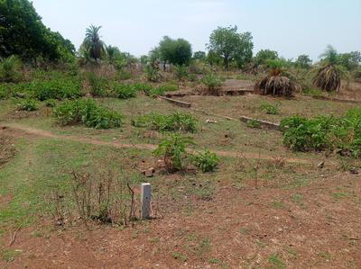 Image of 1200 Sq.ft Residential Plot / Land for sale in Naya Raipur, Raipur for Rs. 600000