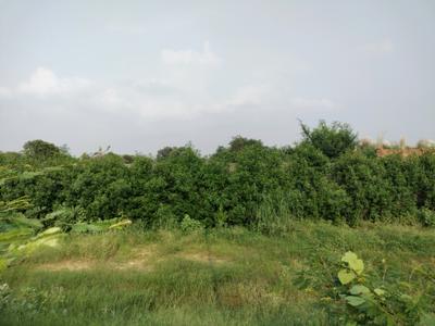 Image of 1134 Sq.ft Residential Plot / Land for sale in Sector 98, Faridabad for Rs. 17000000