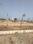Muftiganj, Daulatganj Main Image 1