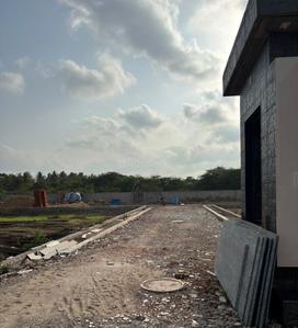 Pal Plot View 2