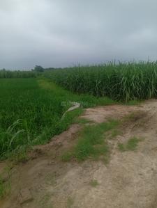 Image of 7163 Sq.ft Residential Plot / Land for sale in kairana, Shamli for Rs. 12000000