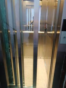 Lift Image of 1250 Sq.ft 3 BHK Builder Floor for rent in Chittaranjan Park New Delhi for Rs. 75000