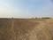 City Prop plot in Pen Raigad Main Image 1