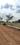 Jagannadhapuram Plot View 2