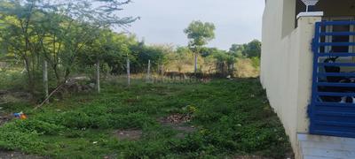 Residential Plot