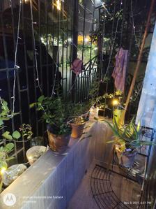 Balcony Image of 1300 Sq.ft 3 BHK Builder Floor for sale in Santoshpur Kolkata for Rs. 7600000