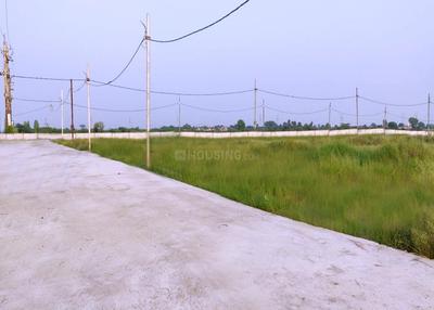 Image of 1000 Sq.ft Residential Plot / Land for sale in Morar, Gwalior for Rs. 2200000