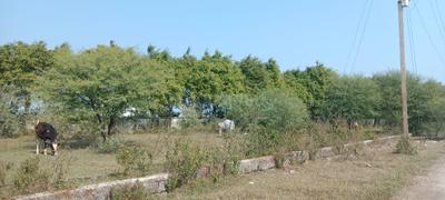 Image of 1200 Sq.ft Residential Plot / Land for sale in County Walk Township, Indore for Rs. 3850000