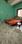 Bedroom Image of Galaxy pg and Hostel in Shibpur, Howrah