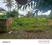 Woody surroundings  Main Image 1