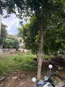 Vijaya bank layout Plot View 2
