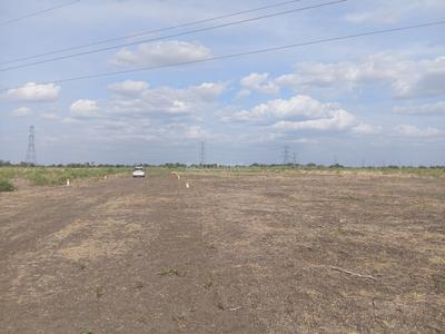 Image of 30502 Sq.ft Residential Plot / Land for sale in Tirumangalam, Madurai for Rs. 2450000
