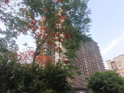 Image of 2280 Sq.ft 4 BHK Apartment / Flat for sale in Rising Homes At DXP 92, Sector 92, Gurgaon for Rs. 29900000