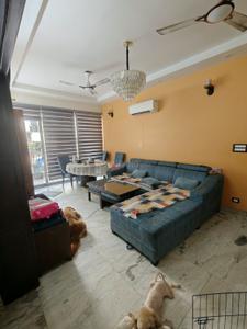 Hall Image of 1900 Sq.ft 3 BHK Duplex for sale in Alaknanda New Delhi for Rs. 38000000