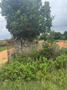 Devanahalli Plot View 2