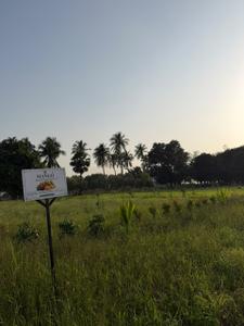 Image of 19360 Sq.ft Residential Plot / Land for sale in Naya Raipur, Raipur for Rs. 40000000