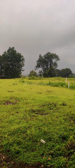 Project pali  Main Image 1