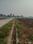 JPS Grand Plot View 2