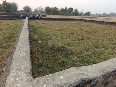 Boreya Plot View 2
