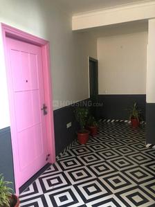 Image of 550 Sq.ft 1 RK Apartment / Flat for rent in Shyam Nagar, Jaipur for Rs. 35000