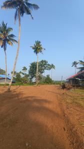 Image of 2200 Sq.ft Residential Plot / Land for sale in Irinjalakuda, Thrissur for Rs. 300000