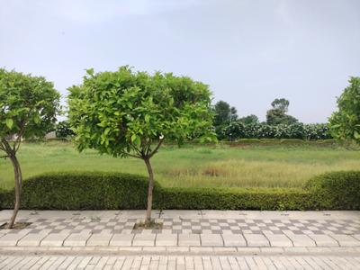 Image of 963 Sq.ft Residential Plot / Land for sale in Mansha Oaks, Sector 98, Faridabad for Rs. 13900000