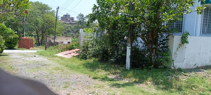 Malsi Main Image 1