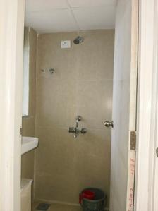 Common Bathroom Image of 630 Sq.ft 2 BHK Apartment / Flat for rent in RGC Runwal My City EWS LIG Building, Dombivli East Thane for Rs. 9995