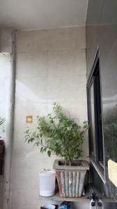 Balcony Image of 765 Sq.ft 1 BHK Apartment / Flat for sale in Ranip Ahmedabad for Rs. 3500000