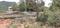 Sujatha Nagar More Images 2