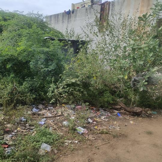 Telngi Pachha Peth Main Image 1