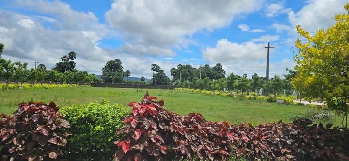 Kothavalasa Main Image 1