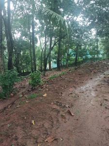 Image of 1335 Sq.ft Residential Plot / Land for sale in Kulasekharam, Thiruvananthapuram for Rs. 16500000
