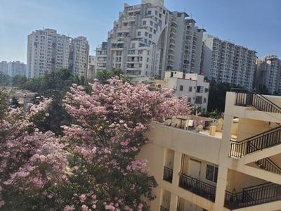 Image of 950 Sq.ft 2 BHK Builder Floor for rent in Electronic City, Bengaluru for Rs. 19500