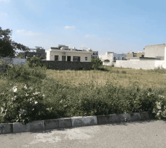 New Palam Vihar Phase 1 Main Image 1