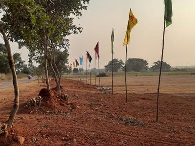 Shadnagar Plot View 2