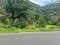 Tamhini Plot View 2