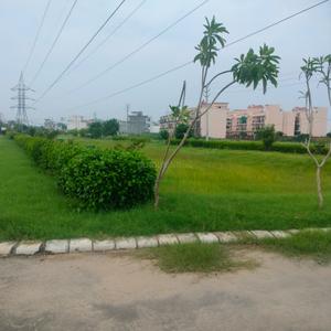 Image of 148 Sq.ft Residential Plot / Land for sale in Alpha Alpha International City, Alpha International City, Karnal for Rs. 11000000