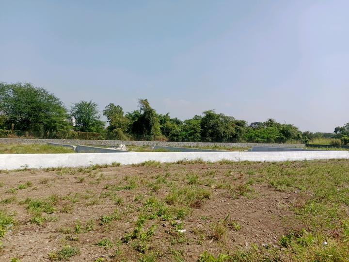 Goldmark Rhythm Main Image 1