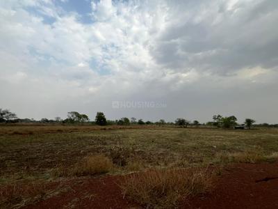 Image of 1000 Sq.ft 1 BHK Farm House for sale in Amleshwar, Raipur for Rs. 4100000