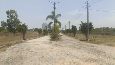 Haragadde Plot View 2