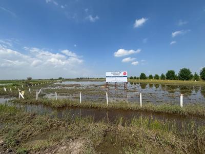Image of 111 Sq.ft Residential Plot / Land for sale in Dholera Global City, Dholera, Ahmedabad for Rs. 950000
